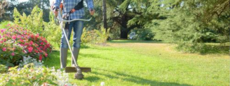 Jardines mantenimiento